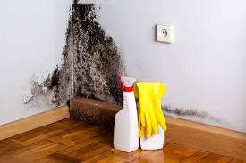 Mold Removal for HVAC Installations in Boron, CA